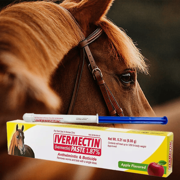 Ivermectin-Paste für Pferde