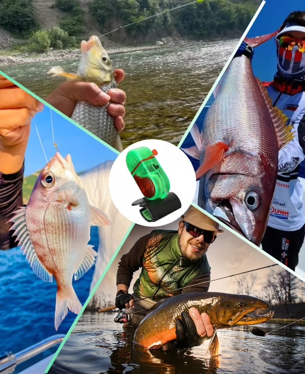 Angelalarm – Direkte Bisserkennung