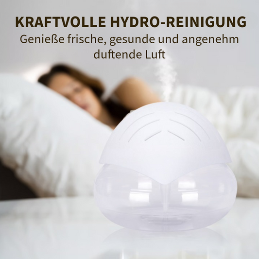 Professioneller Luftreiniger