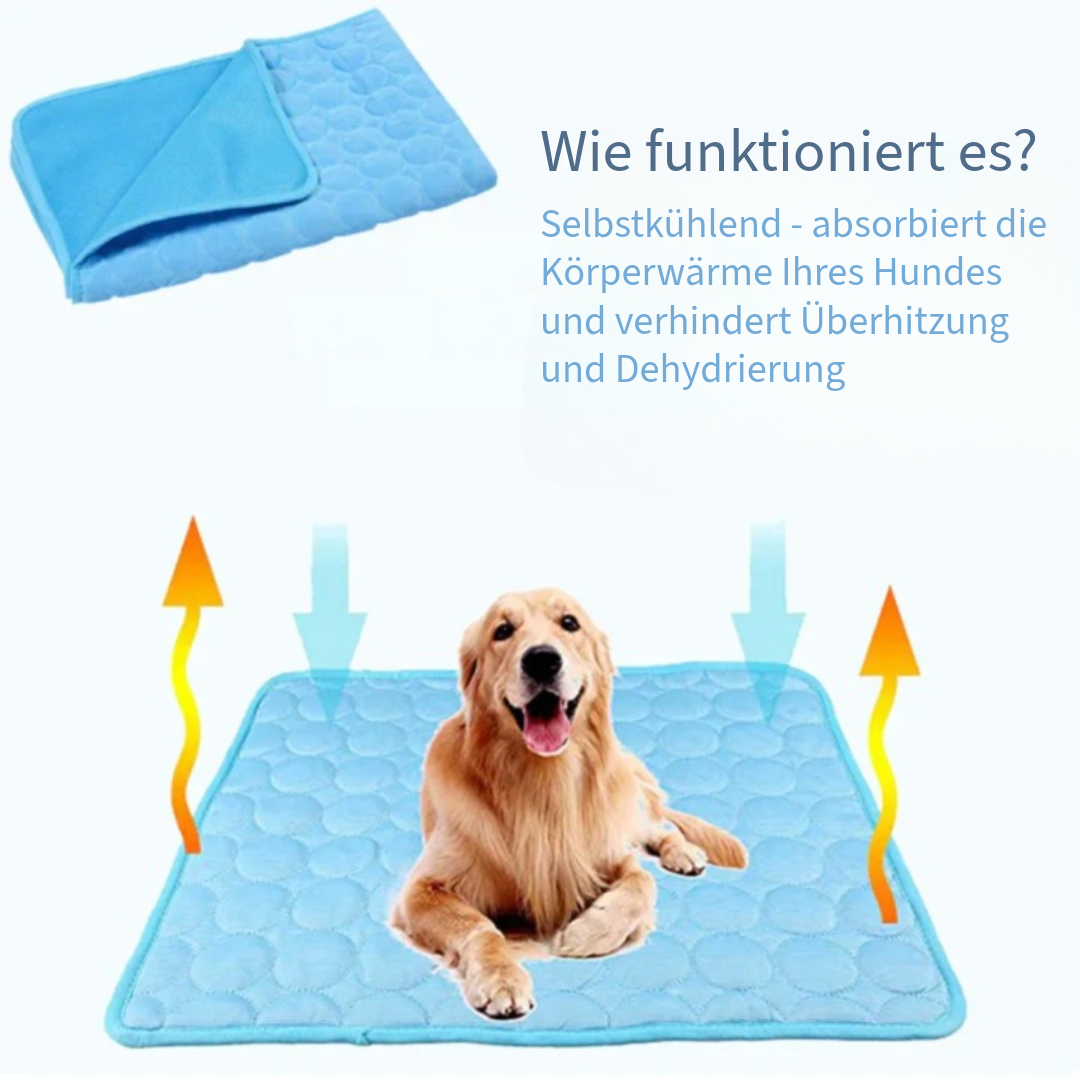Innovative Kühlende Decke für Haustiere