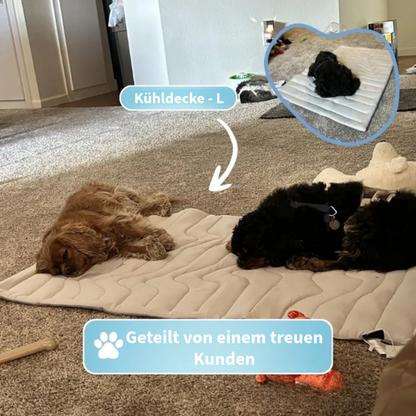 Innovative Kühlende Decke für Haustiere