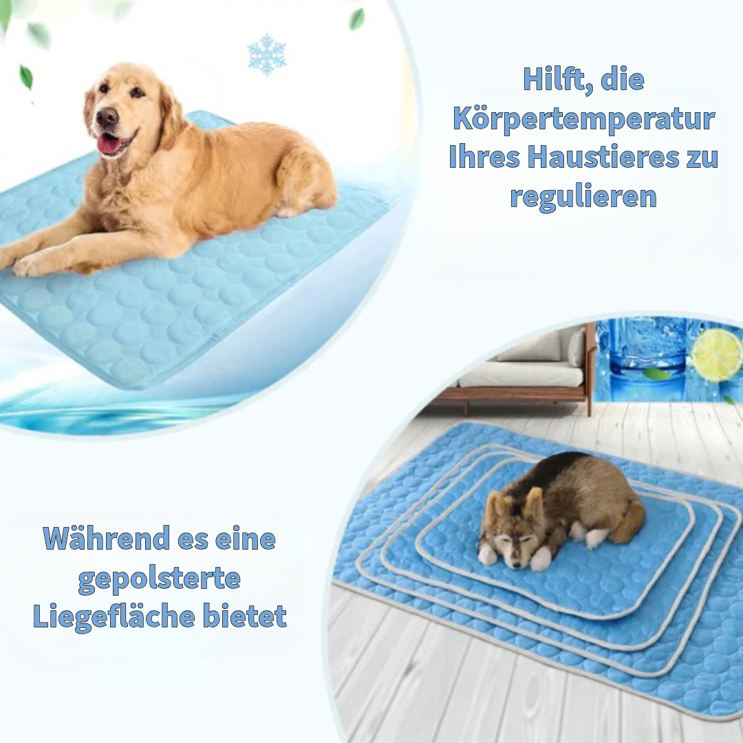 Innovative Kühlende Decke für Haustiere
