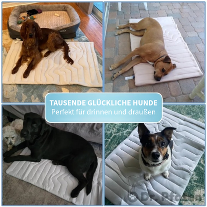 Innovative Kühlende Decke für Haustiere