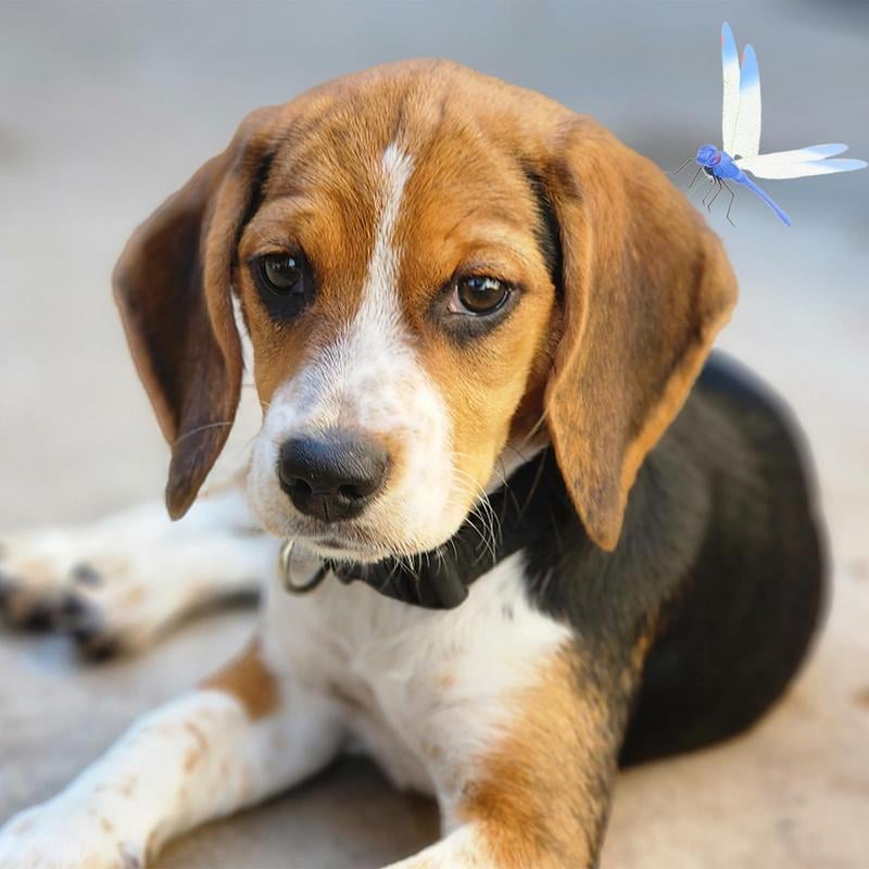 Stilvolle Libellen-Mückenabwehr