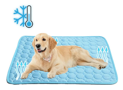 Innovative Kühlende Decke für Haustiere