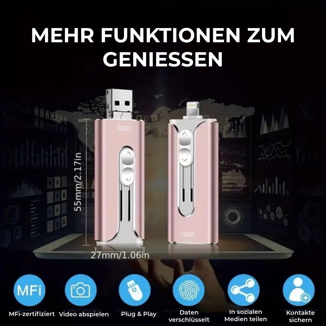 Professioneller Flash Drive mit USB-C-Adapter