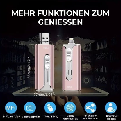 Professioneller Flash Drive mit USB-C-Adapter