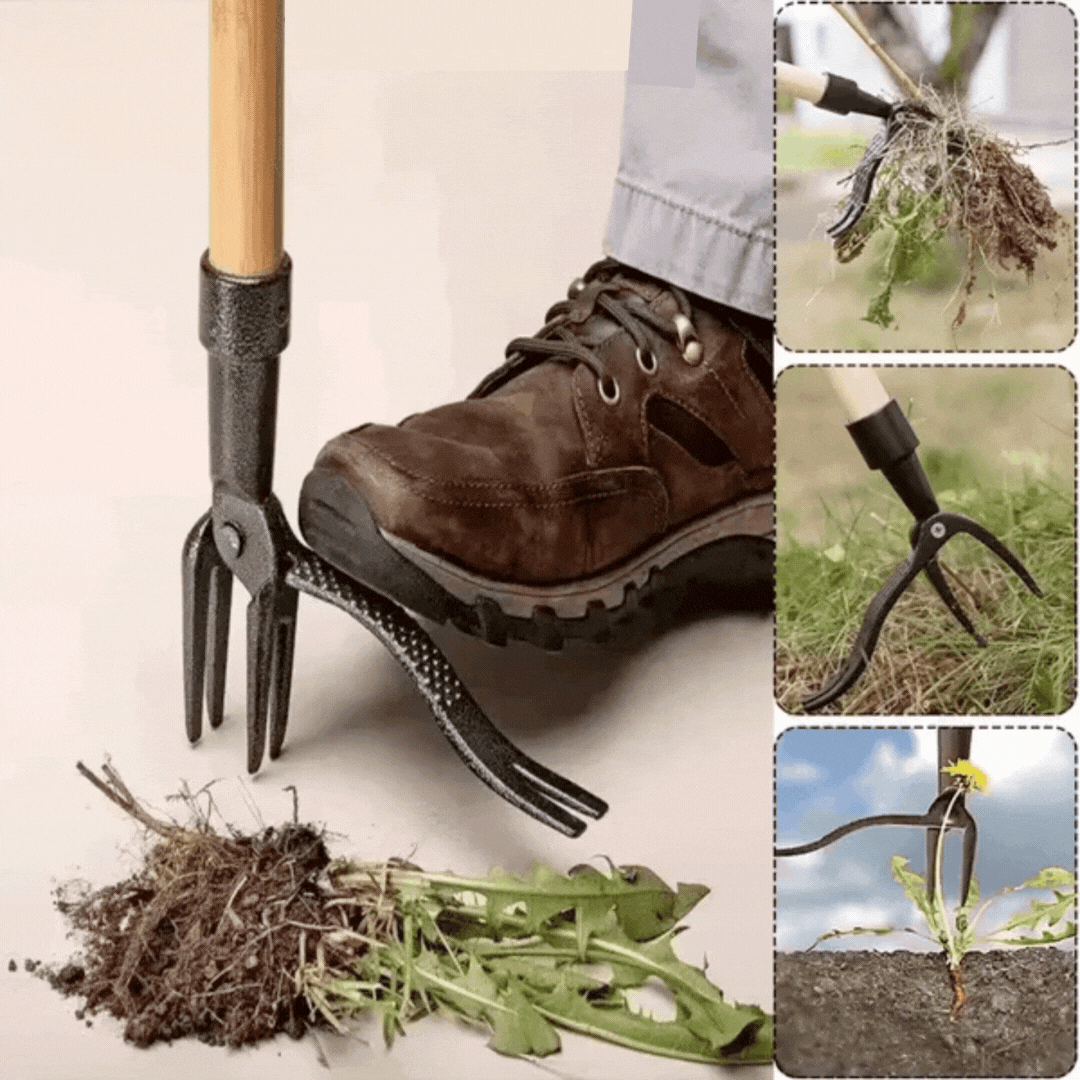 Professioneller Unkrautentferner